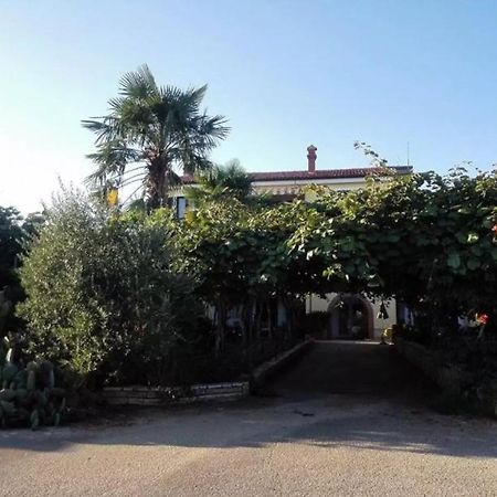 App Carla Apartment Novigrad  Bagian luar foto