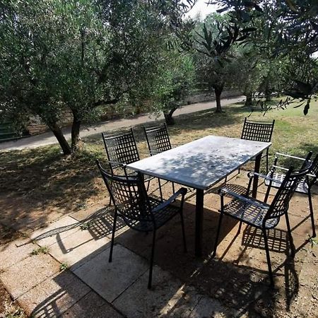 App Carla Apartment Novigrad  Bagian luar foto