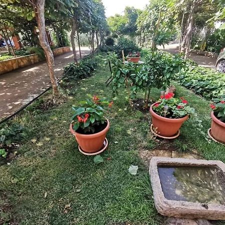 App Carla Apartment Novigrad  Bagian luar foto