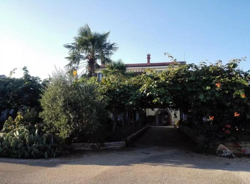 App Carla Apartment Novigrad  Bagian luar foto