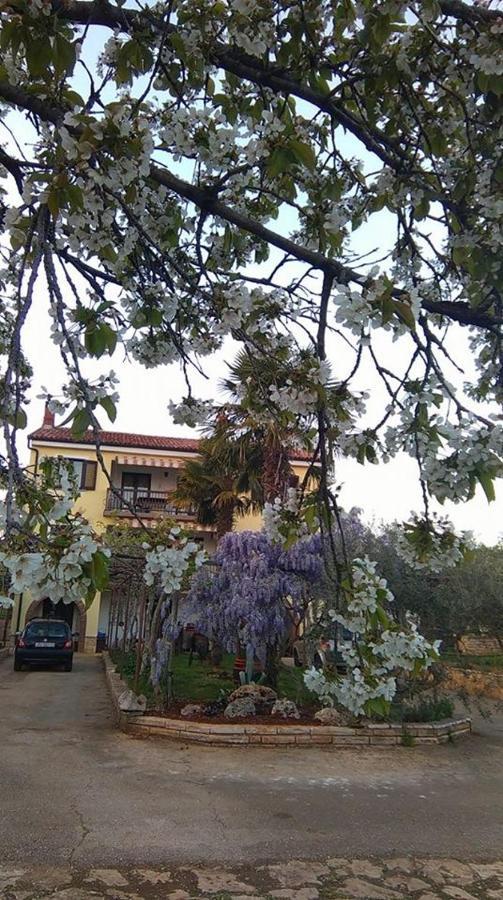 App Carla Apartment Novigrad  Bagian luar foto