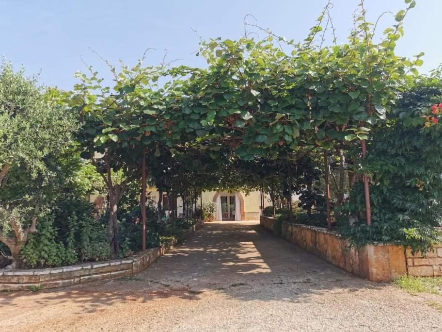 App Carla Apartment Novigrad  Bagian luar foto