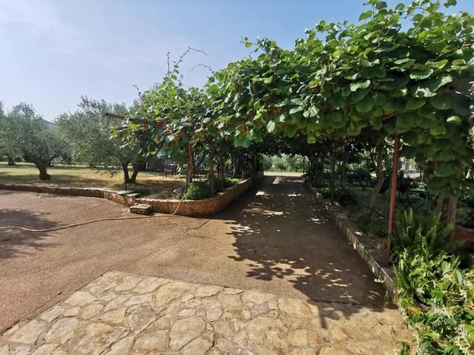 App Carla Apartment Novigrad  Bagian luar foto